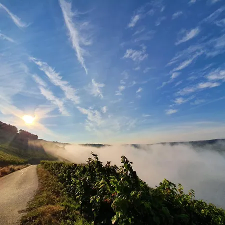 Haus Rosalinde 아파트