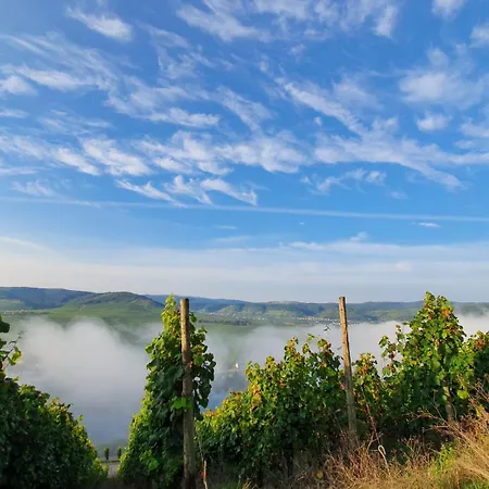 Haus Rosalinde 아파트 *