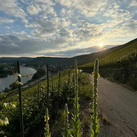 شقة Haus Rosalinde