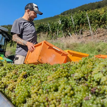 شقة Haus Rosalinde Klusserath